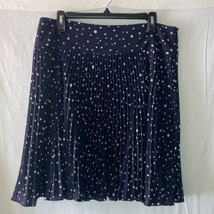 Ann Taylor Pleated Skirt
